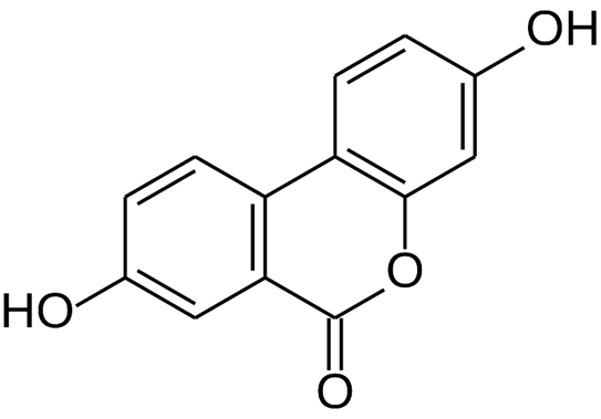 null null