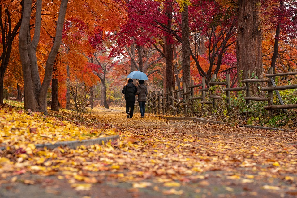 图片来自pixabay。